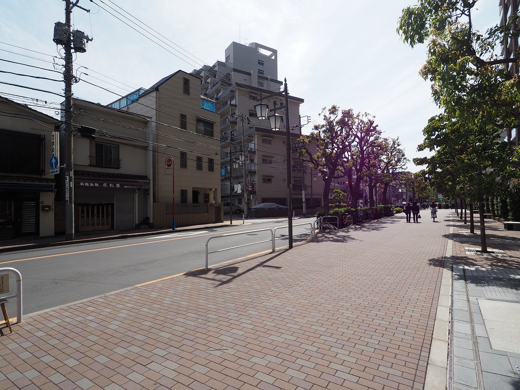 常盤台ガーデンソサエティ マンション前道路