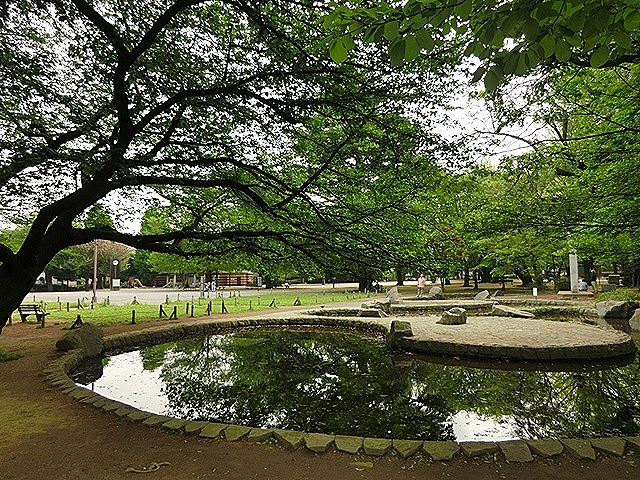 常盤台ガーデンソサエティ周辺環境 板橋区平和公園