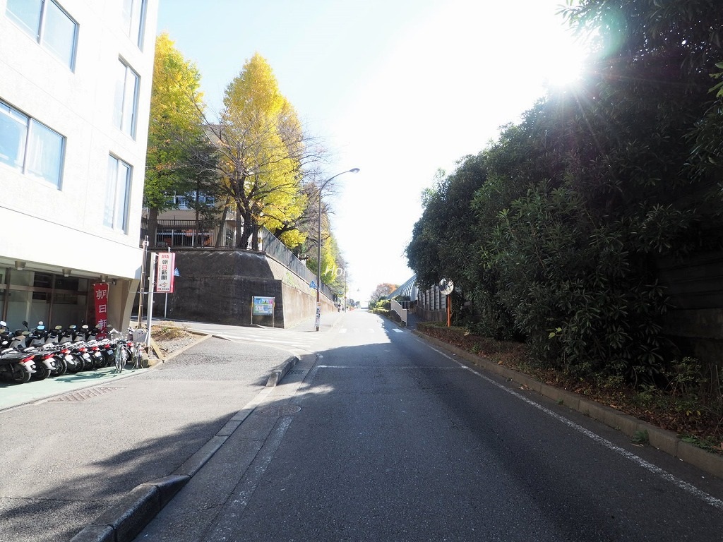 ニューハイム徳丸　前面道路