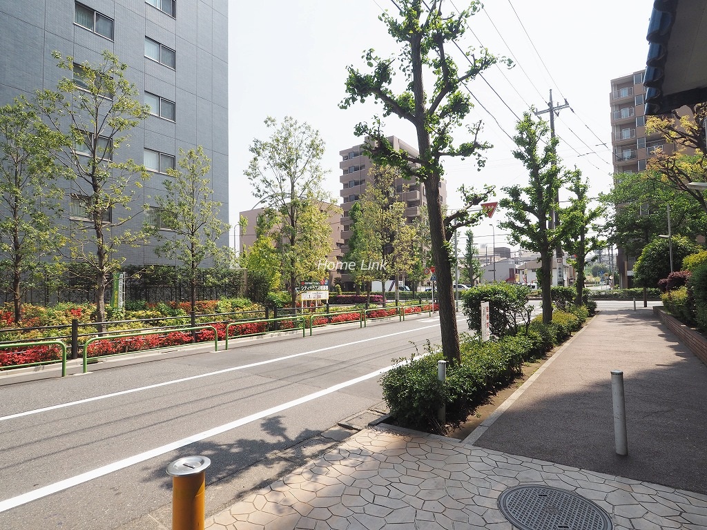 秀和蓮根レジデンス　前面道路