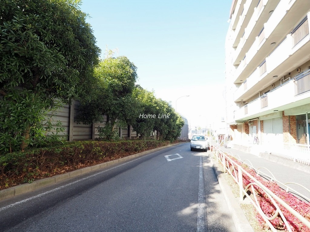 ニューハイム徳丸　前面道路
