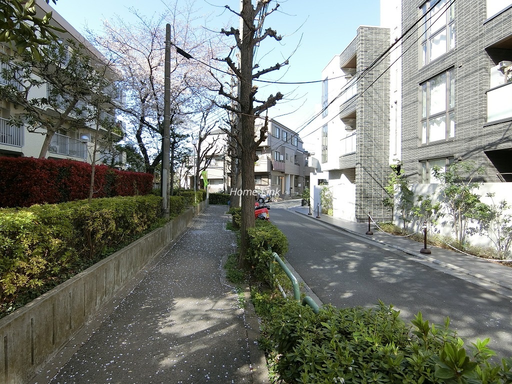グリーンコーポ上板橋 前面道路