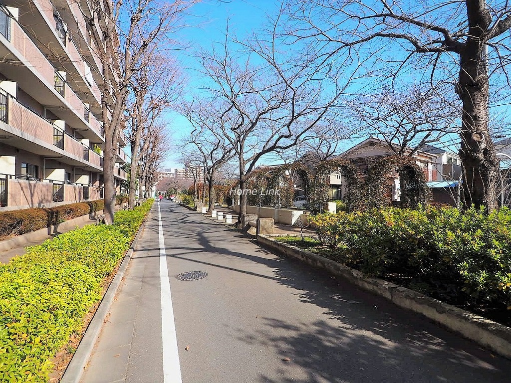 コアシティ西台　前面道路