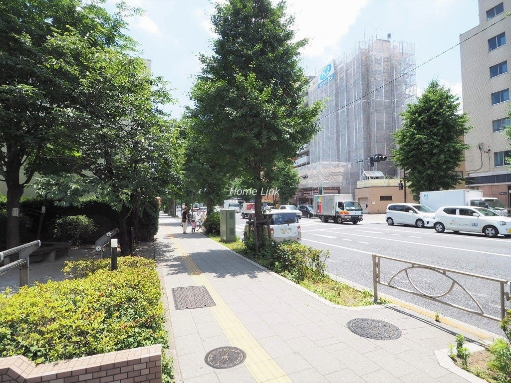 ライオンズプラザ本蓮沼　前面道路