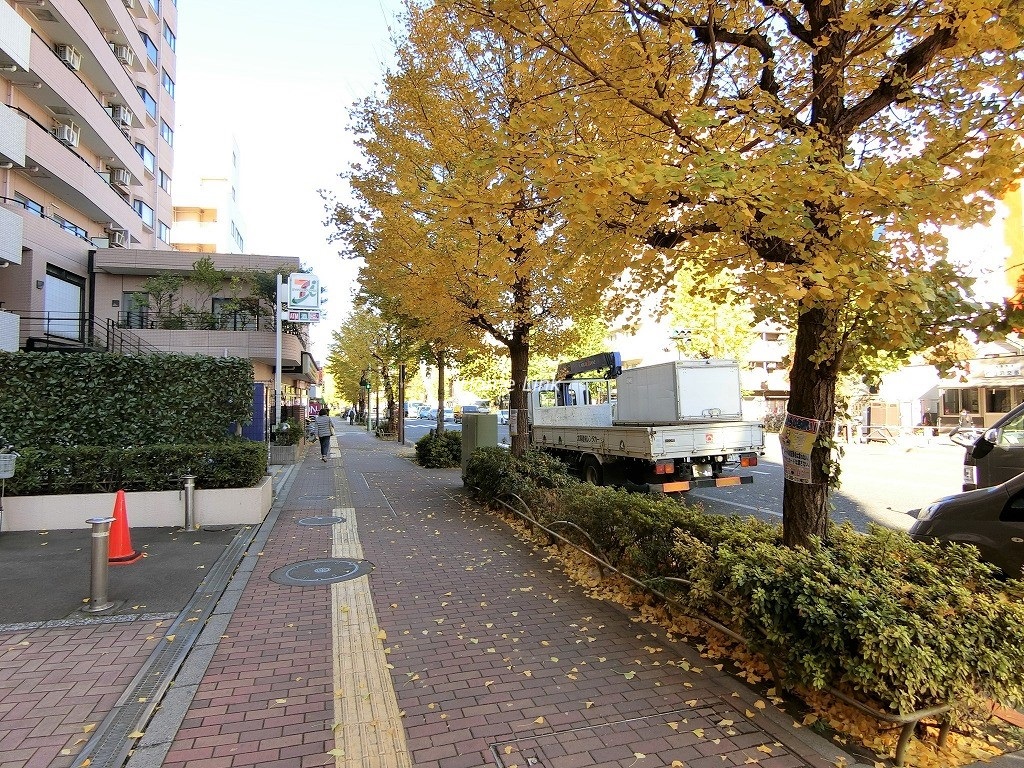 ライオンズマンション板橋大原　前面道路