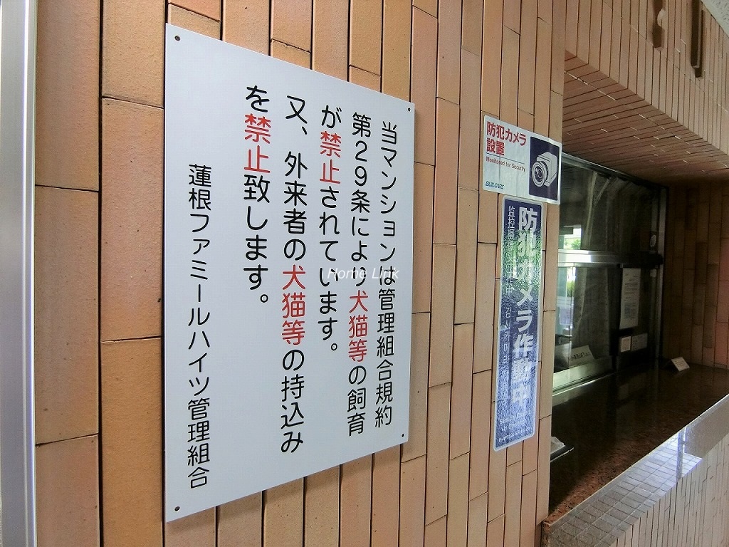 蓮根ファミールハイツ1号棟　掲示物