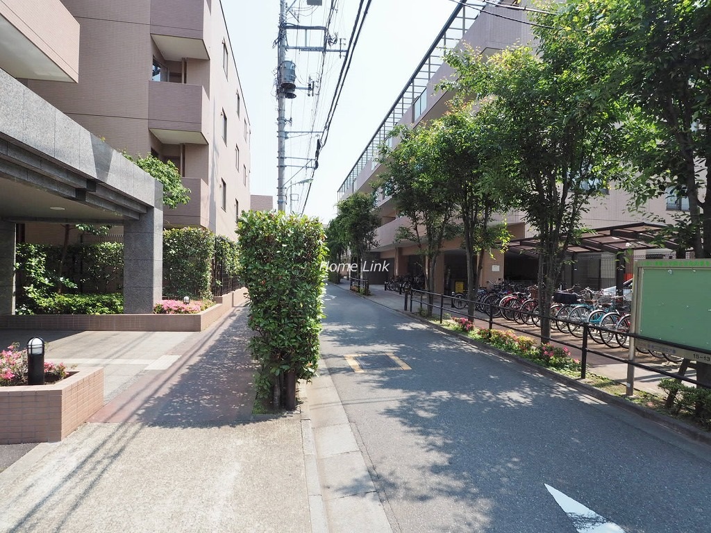 ルピナス赤塚ツインズガーデン壱番館　前面道路