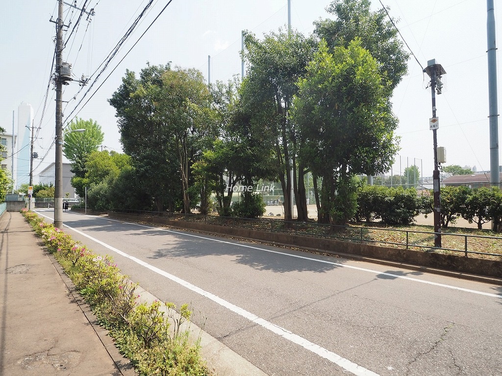 東武高島平サンライトマンション　前面道路