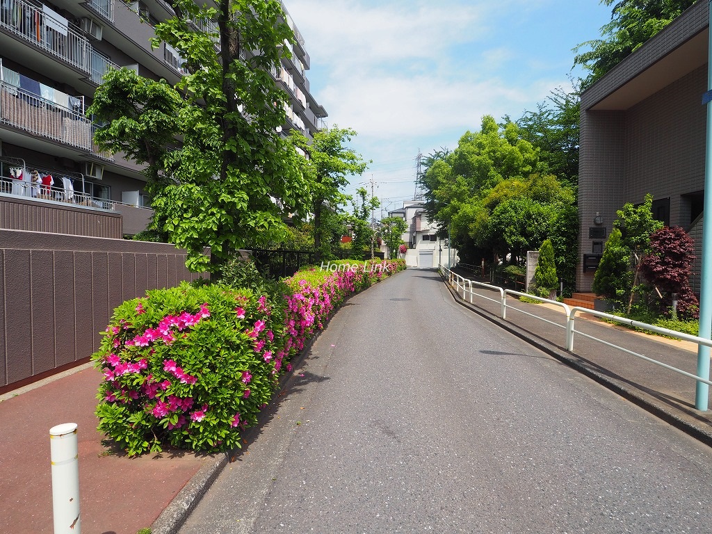 東急ドエルアルス成増　前面道路