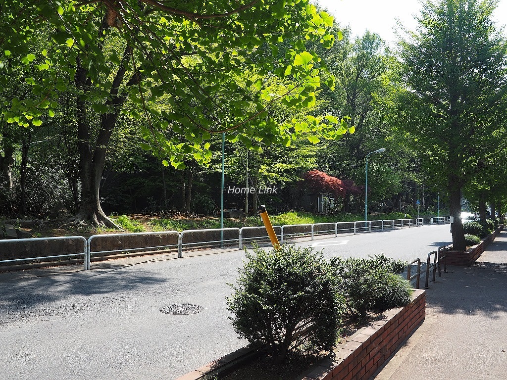 小豆沢パークファミリアA棟　前面道路歩道