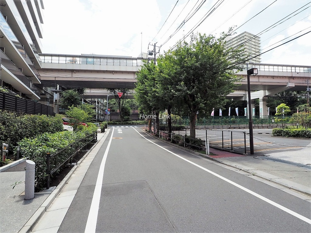 アデニウム志村三丁目　前面道路