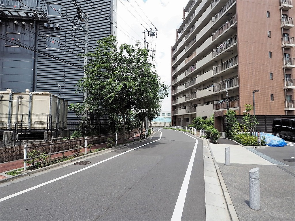 アデニウム志村三丁目　前面道路