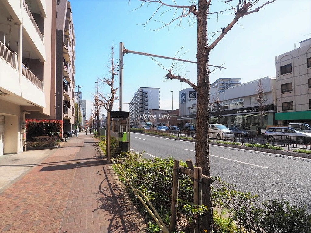 ウィスタリアマンション板橋志村　前面道路歩道