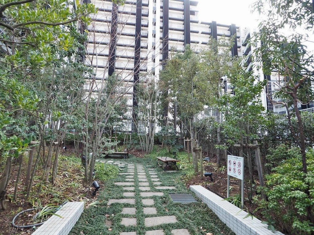 シティテラス成増 緑地広場