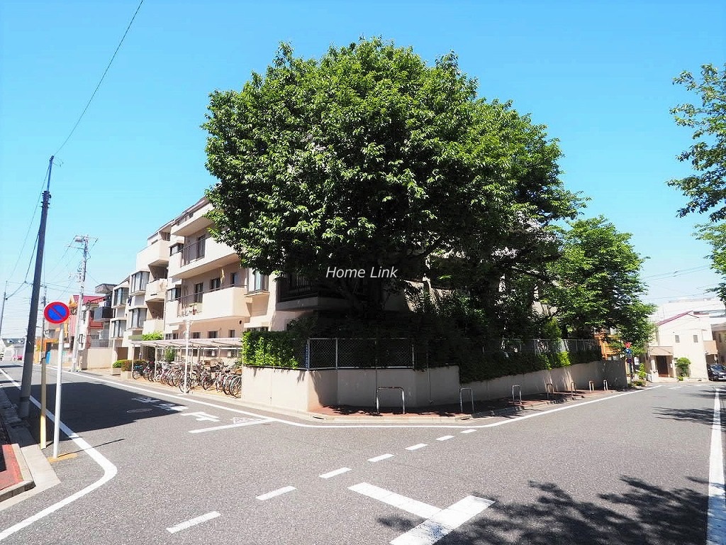 成増パーク・ホームズ　前面道路