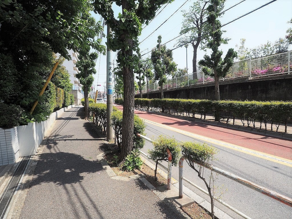 東急ドエルアルス志村坂上　前面道路歩道
