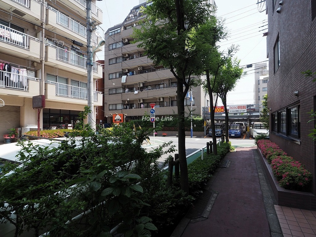 ソレイユ高島平Ⅰ　前面道路歩道