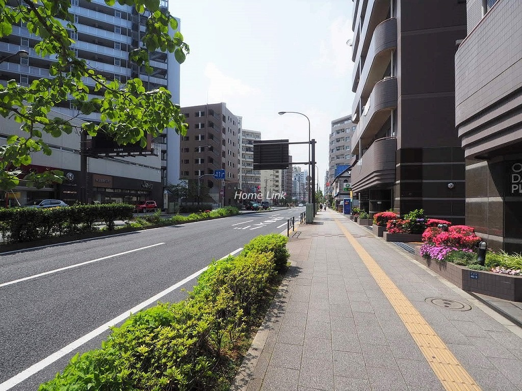 大山ダイカンプラザ A棟 前面道路歩道