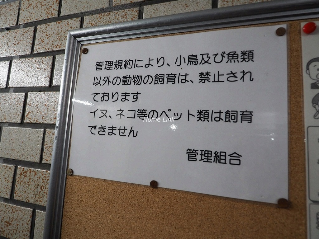 朝日板橋マンション 掲示物