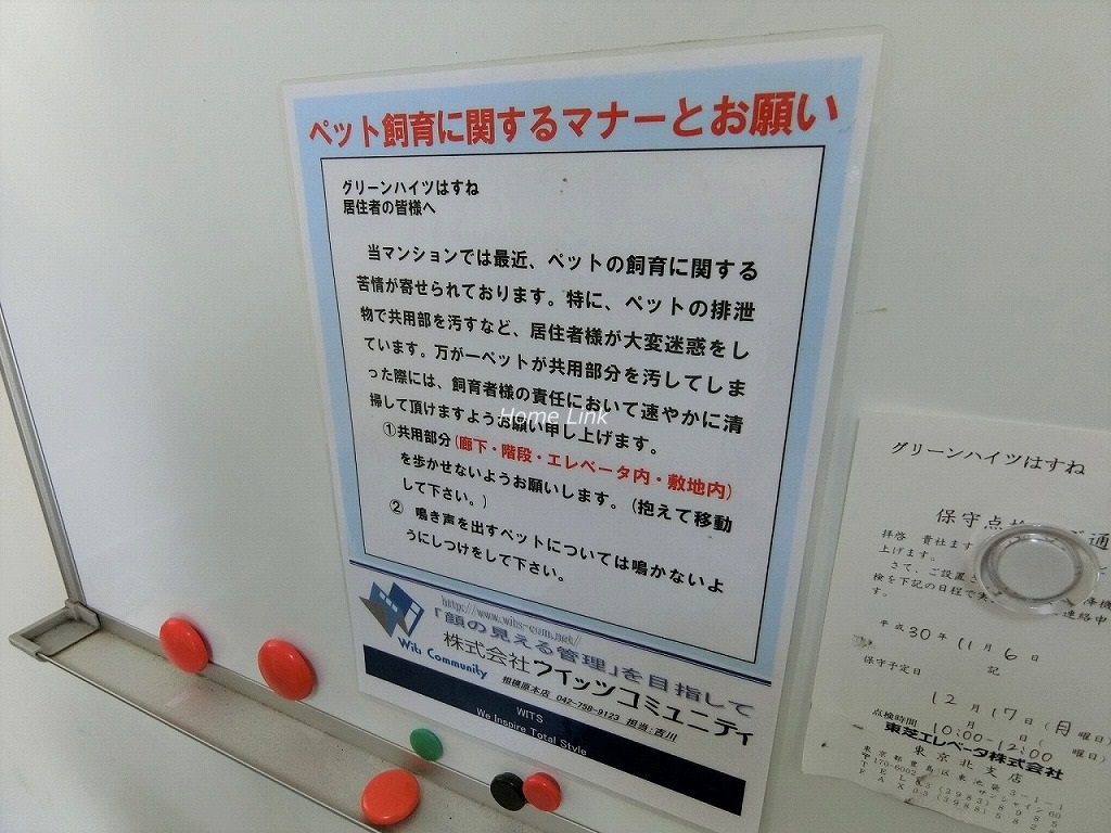 グリーンハイツはすね　掲示物