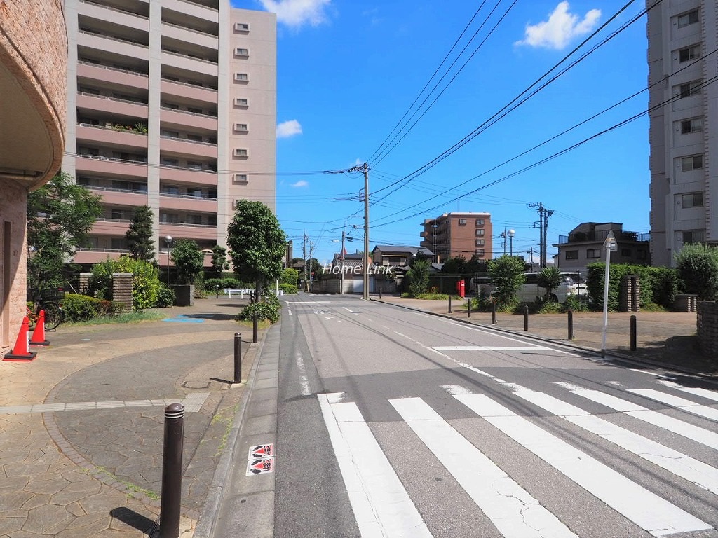 レーベンハイム川口シルフィア 前面道路