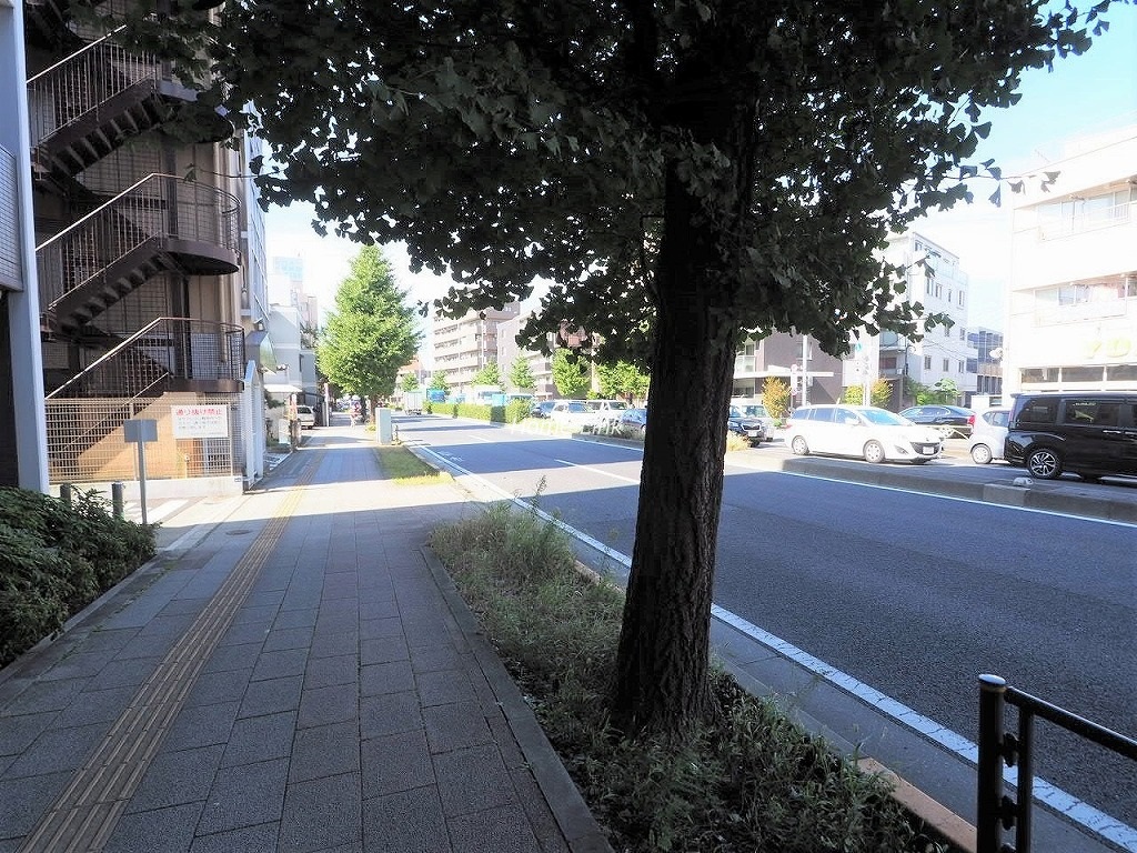 アプレシアス上板橋　前面道路歩道