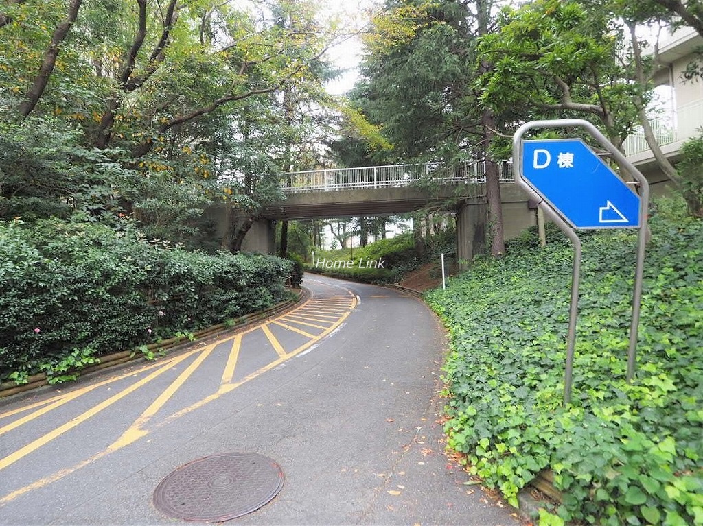 サンシティD棟 前面道路