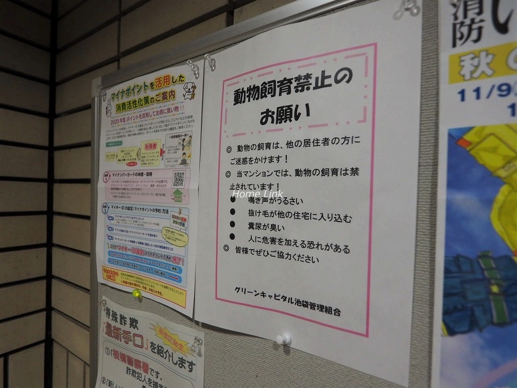 グリーンキャピタル池袋　掲示物