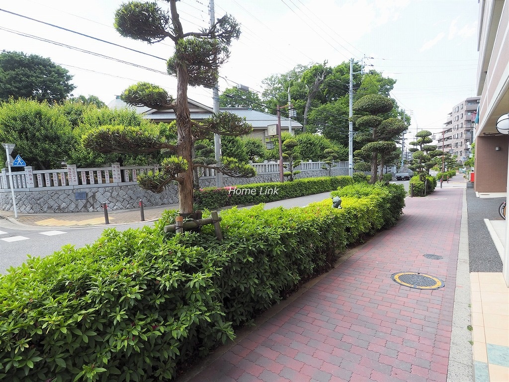 サンクレイドル徳丸ウインフォート 前面道路歩道