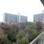 サンシティB棟11階　バルコニーからの眺望