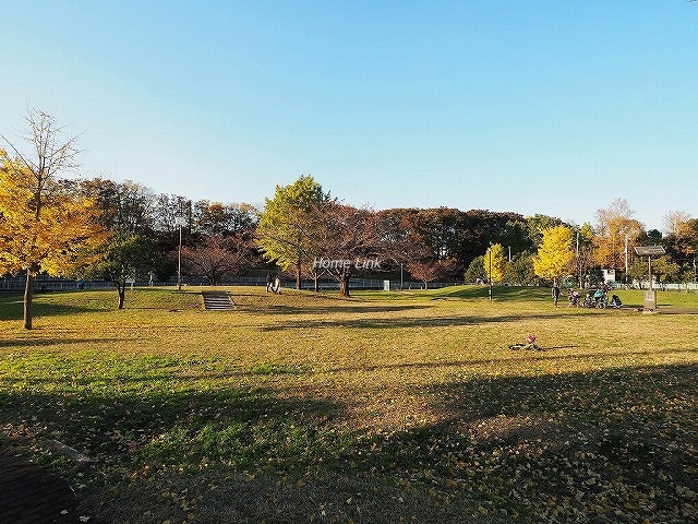 三田小茂根コーポ周辺環境　城北中央公園