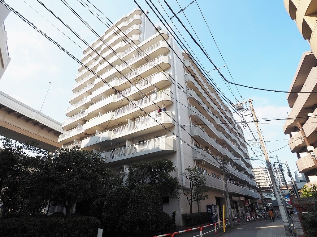 活動歴および当時の関連ビジュアル記録