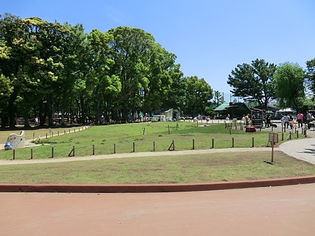 加賀レジデンス周辺環境　東板橋公園