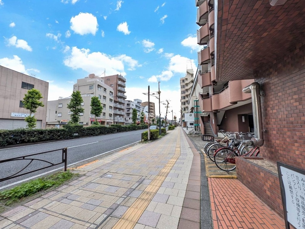 キャニオンビュー光が丘 北側 前面道路