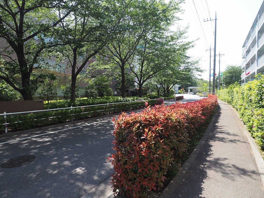 メイツ志村　前面道路