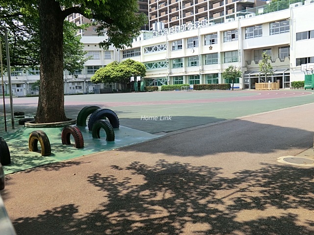 メイツ志村周辺環境　志村小学校