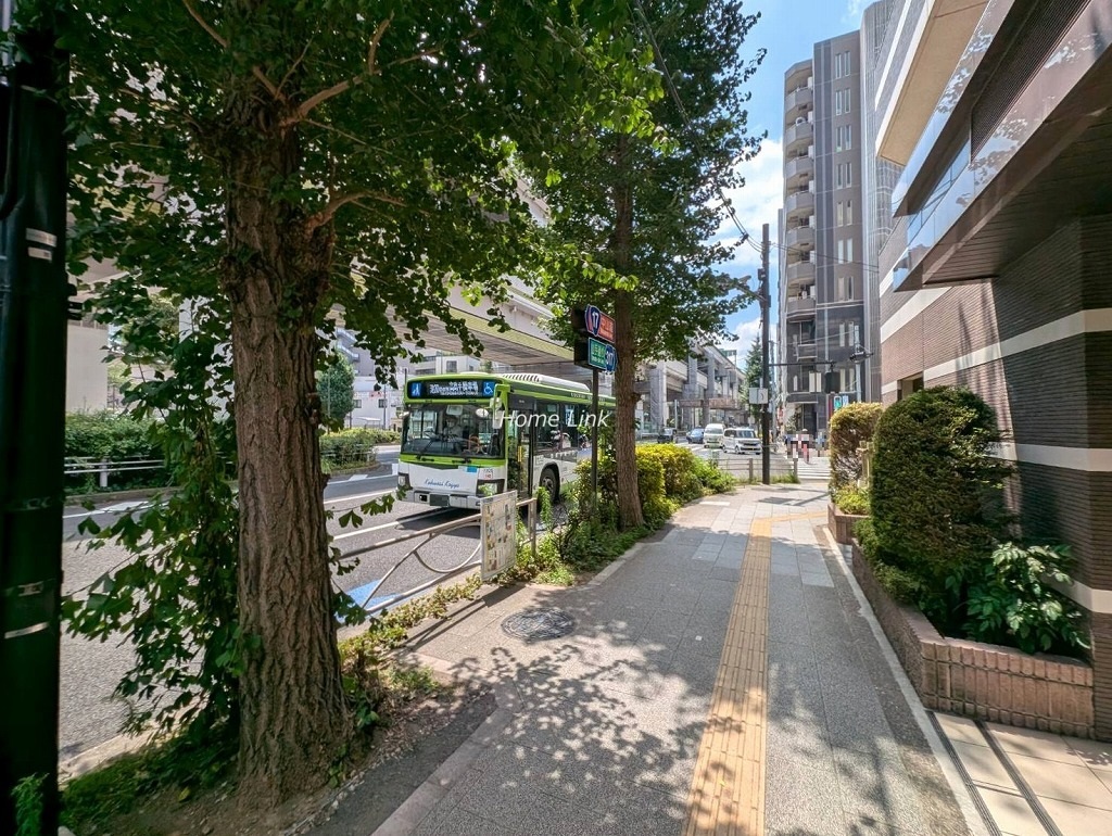 サンクレイドル板橋区役所前　東側 前面道路