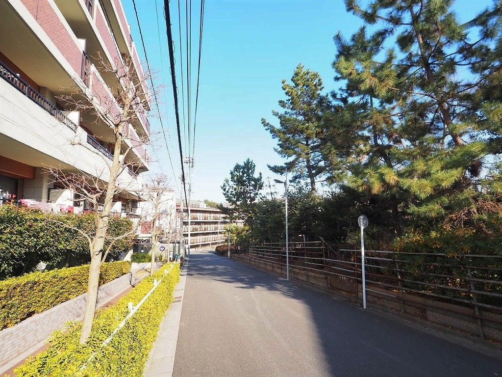 ダイアパレス赤塚公園　前面道路