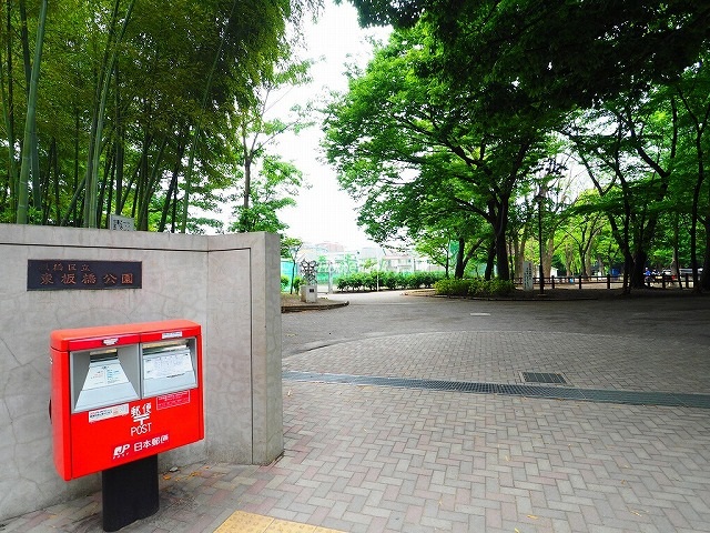 マイキャッスル新板橋周辺環境 東板橋公園