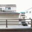 徳丸5丁目　中古戸建　2階 バルコニー南向き