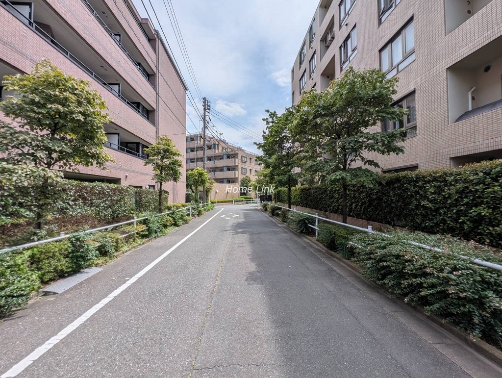 ハウス城北中央公園　東側 前面道路