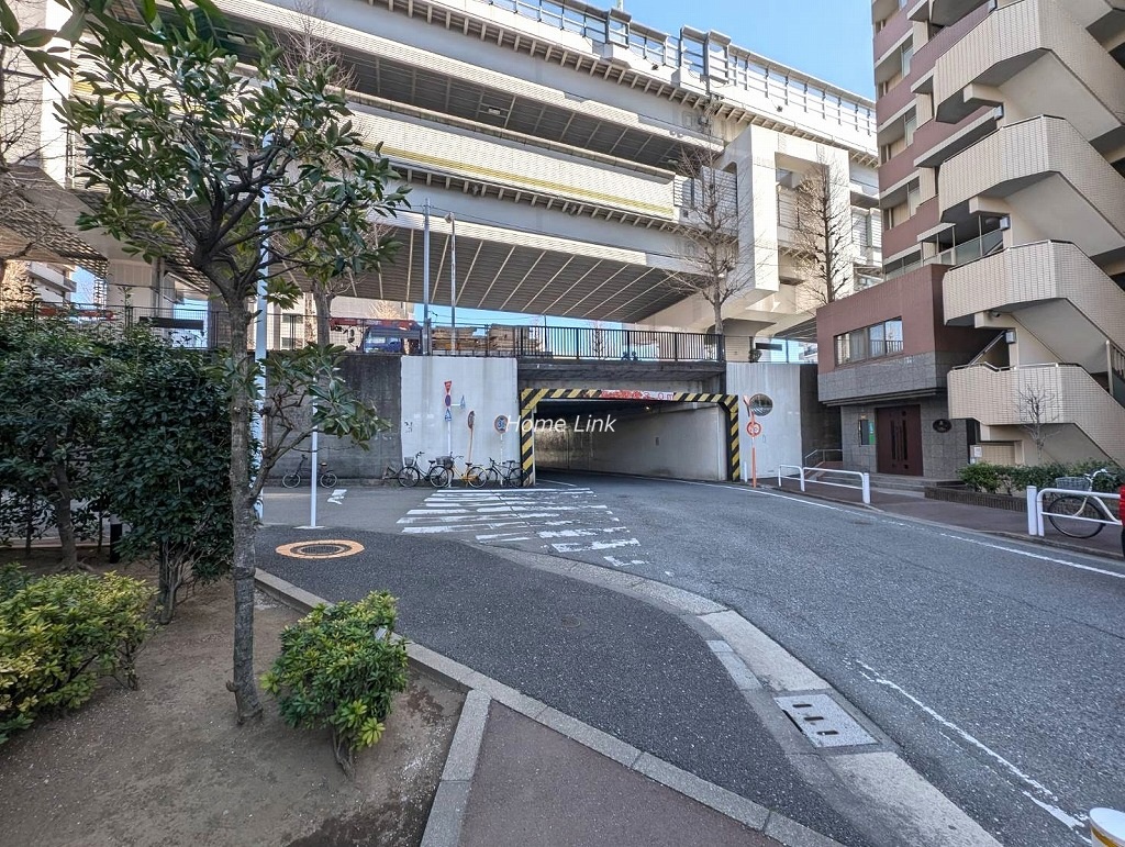 ルピナス大山グランドタワーｉステージ　南側 前面道路