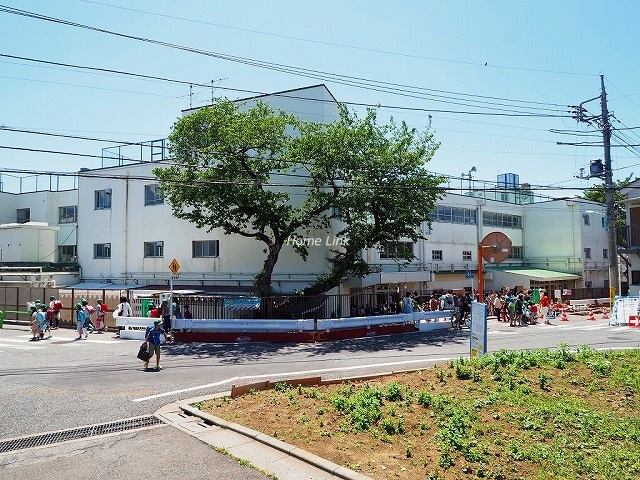 成増アクト1周辺環境 成増ヶ丘小学校