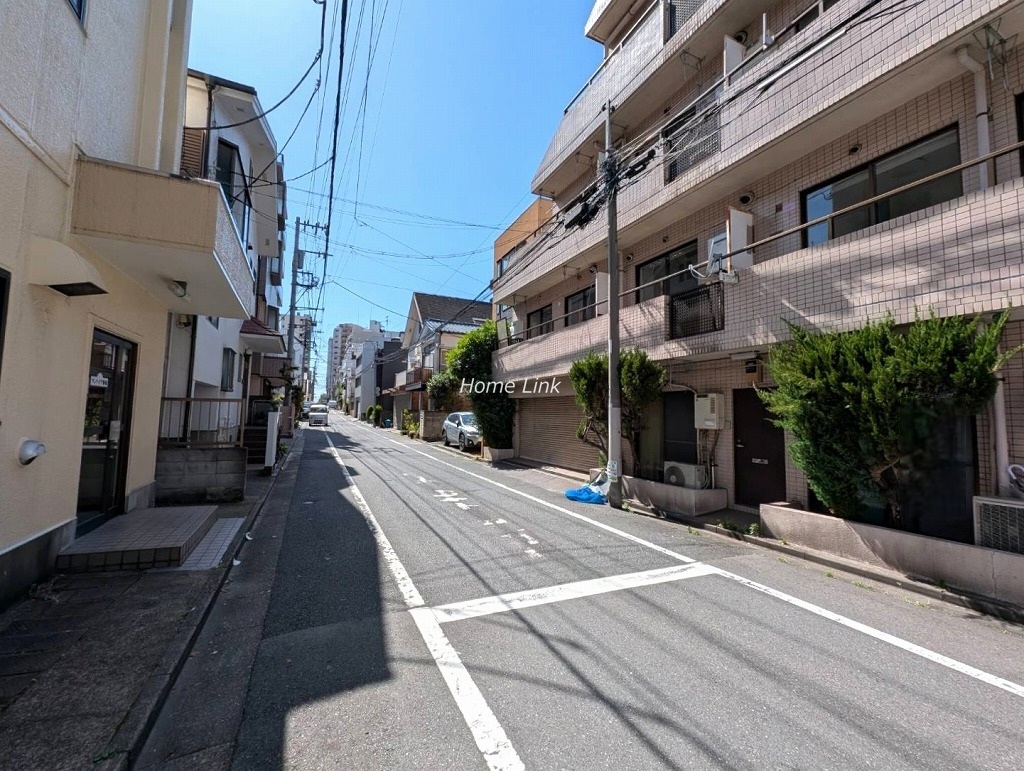ランデン池袋　南側 前面道路