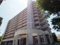新蓮根団地14号棟　外観