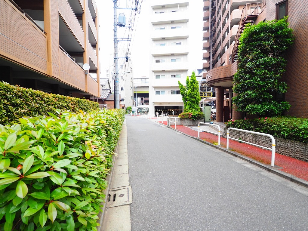 コスモ板橋エクセラ 前面道路